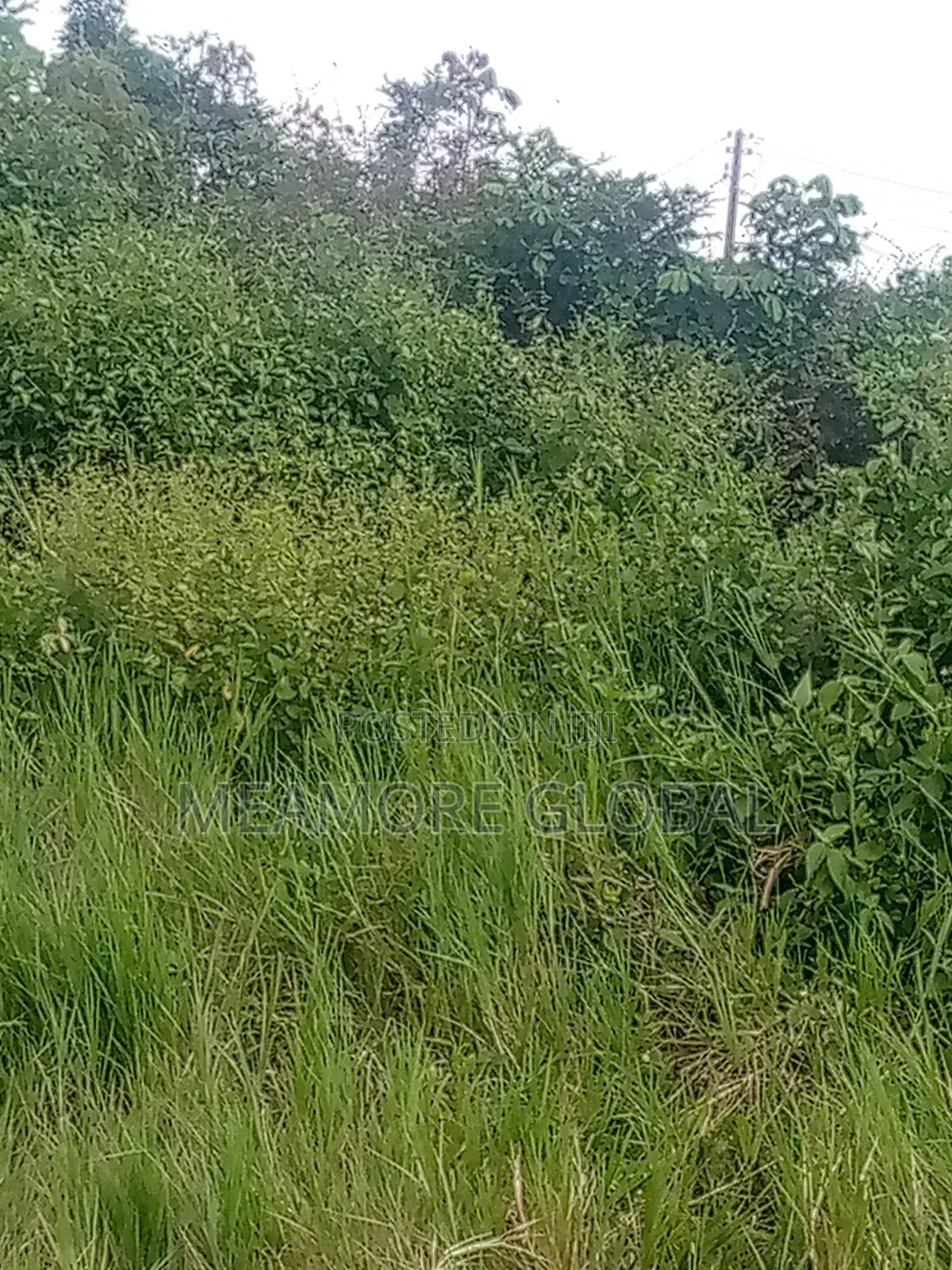 Land for Sale at Epe Lagos State in Epe