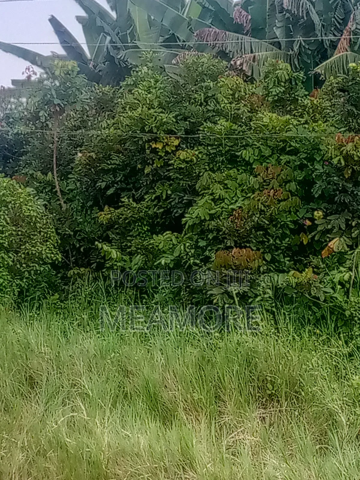 Land for Sale at Epe Lagos State in Epe