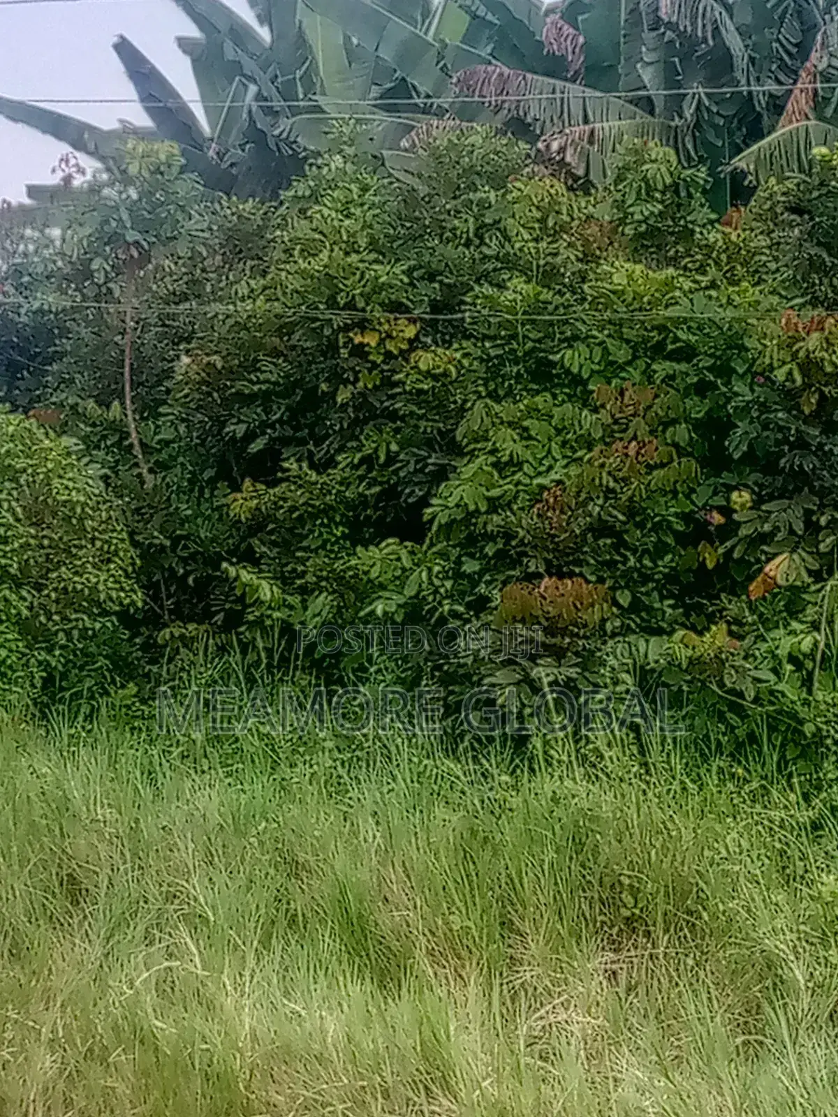 Land for Sale at Epe Lagos State in Epe