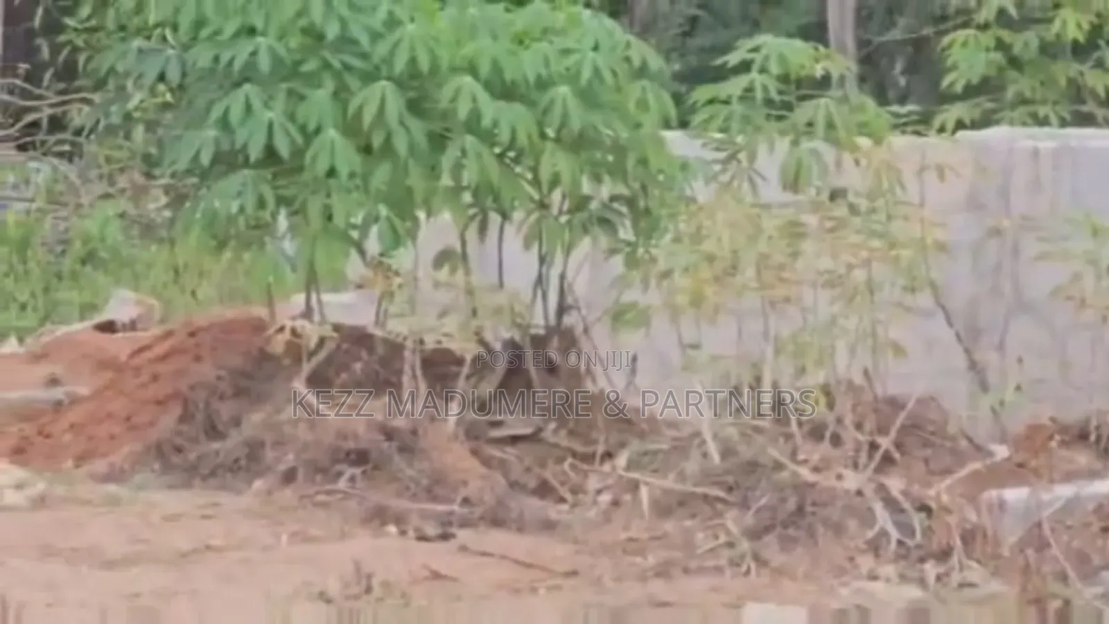 For Sale : 2 Plots Between Eliozu Flyover Rumudara Junction in Port-Harcourt