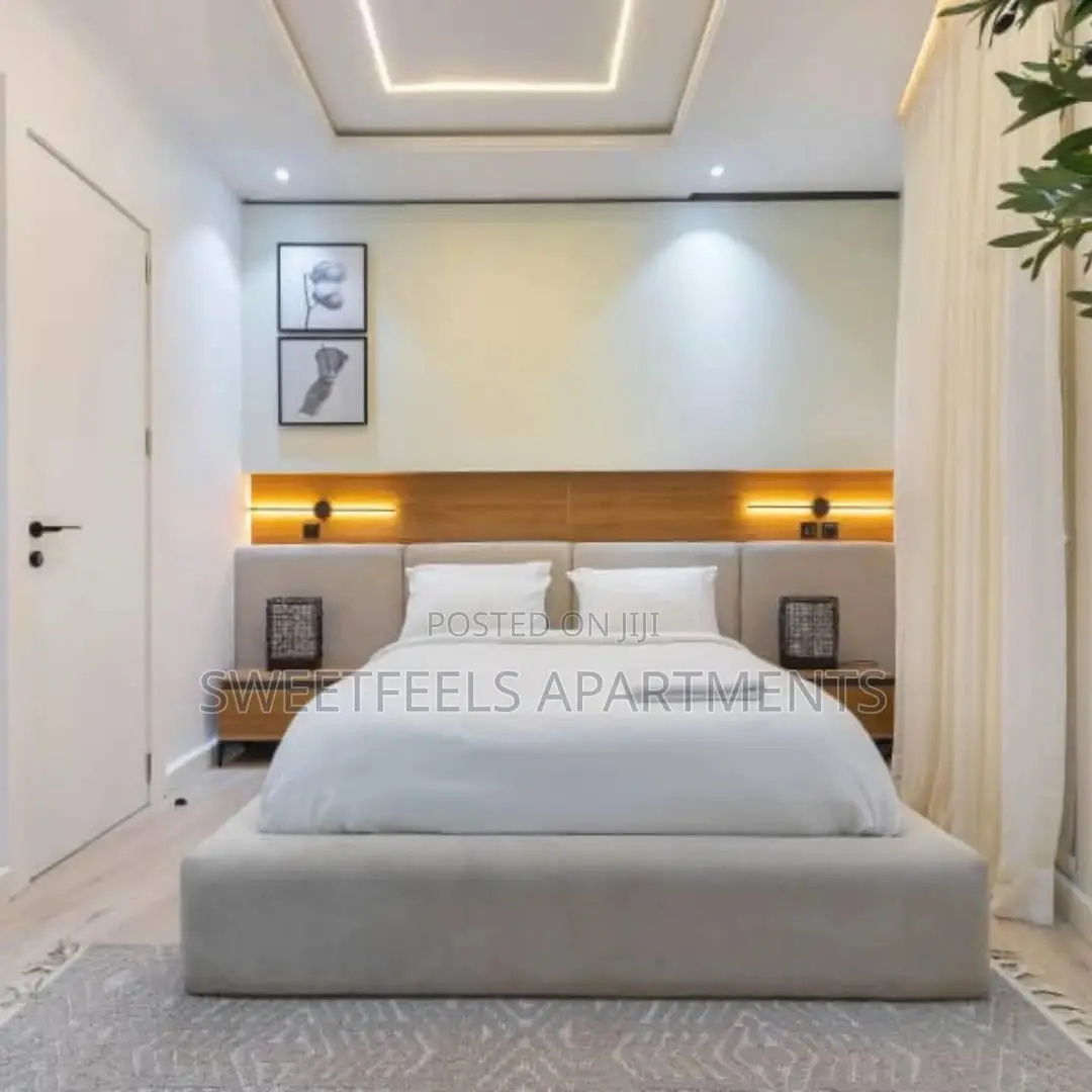 Luxury 2 Bedroom Apartment in Victoria Island Extension