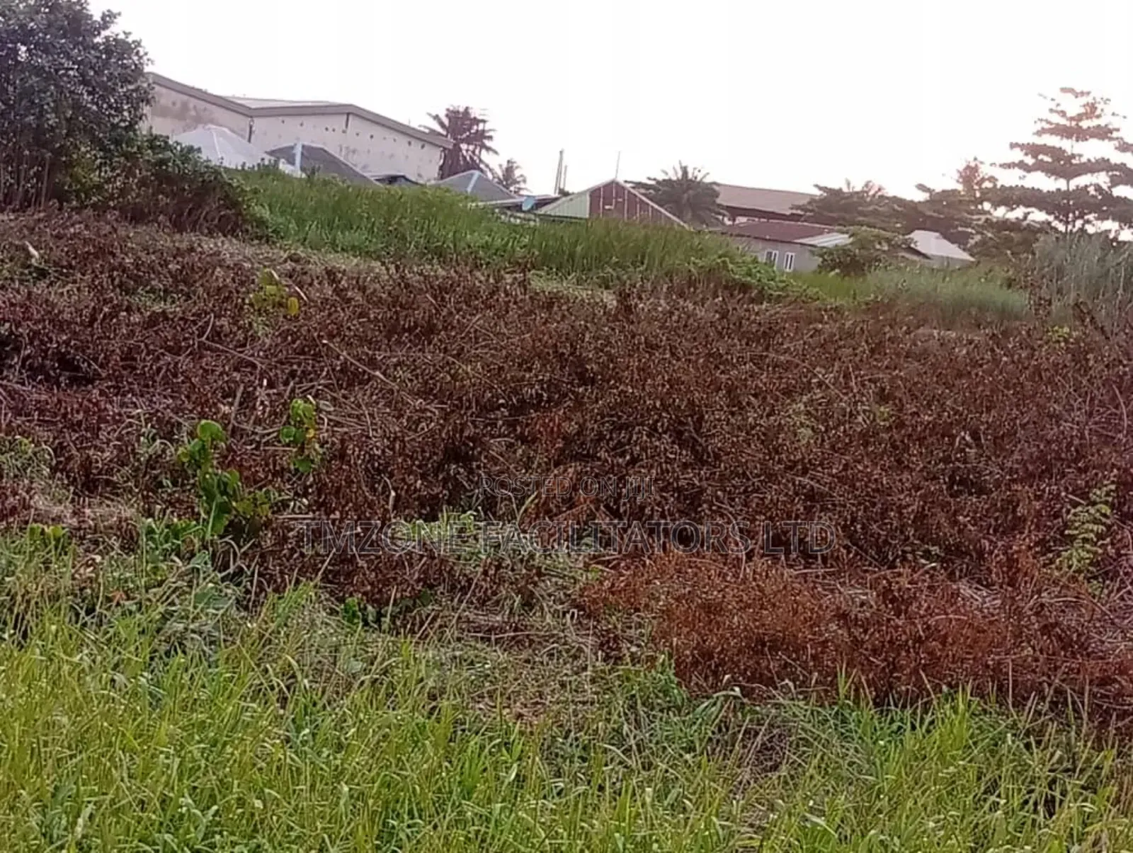 More Than Acre of Land in Ipakodo