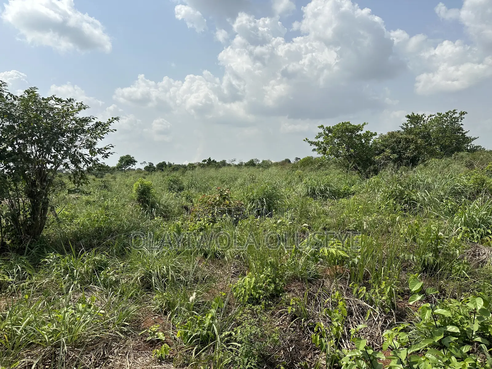 Agric Land Is Available in Odeda