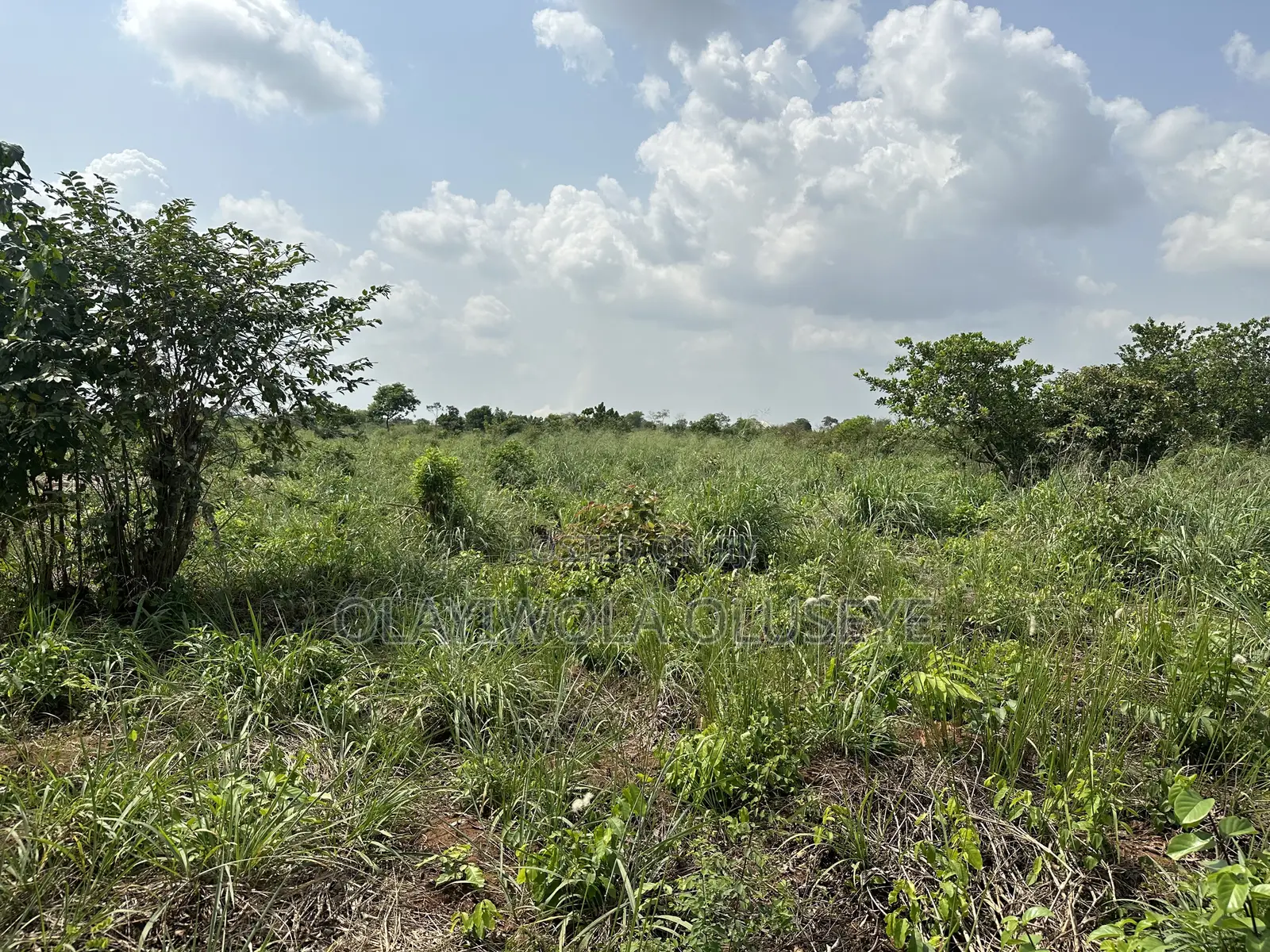 Agric Land Is Available in Odeda