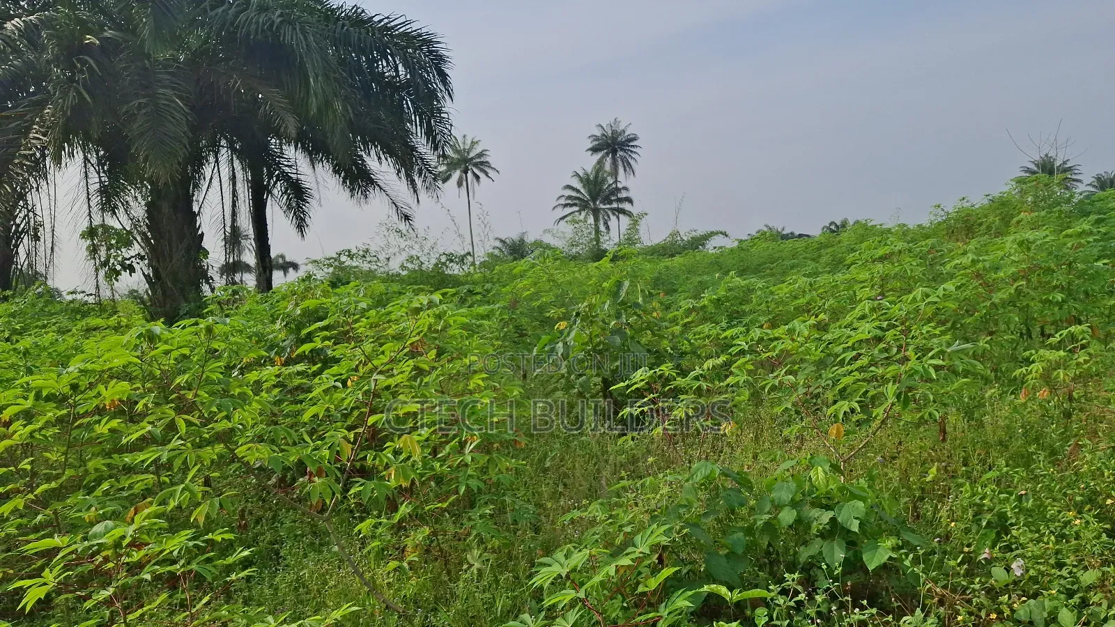 Buy and Resell Land With  Roi in Benin City