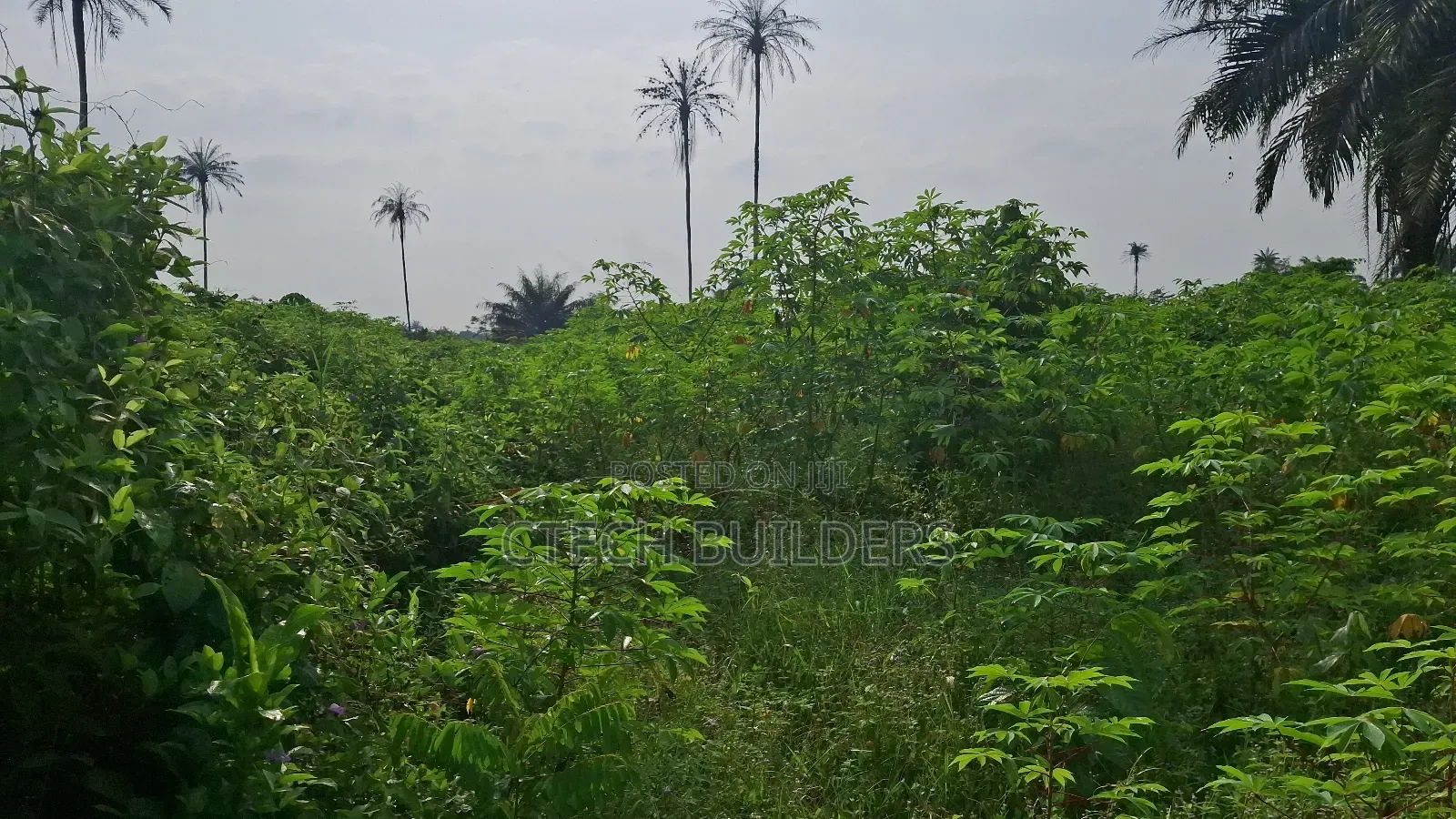 Buy and Resell Land With  Roi in Benin City