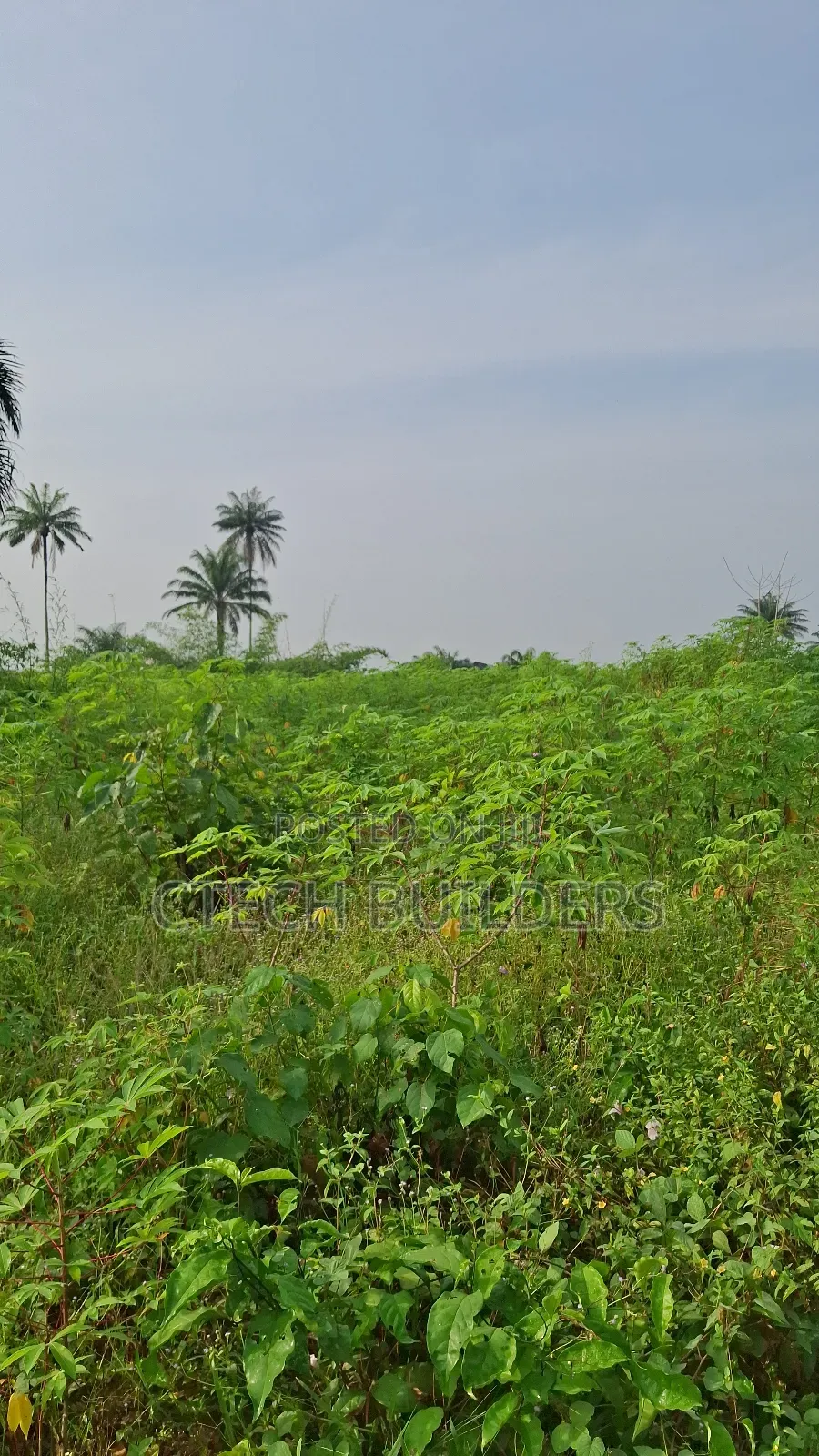 Buy and Resell Land With  Roi in Benin City
