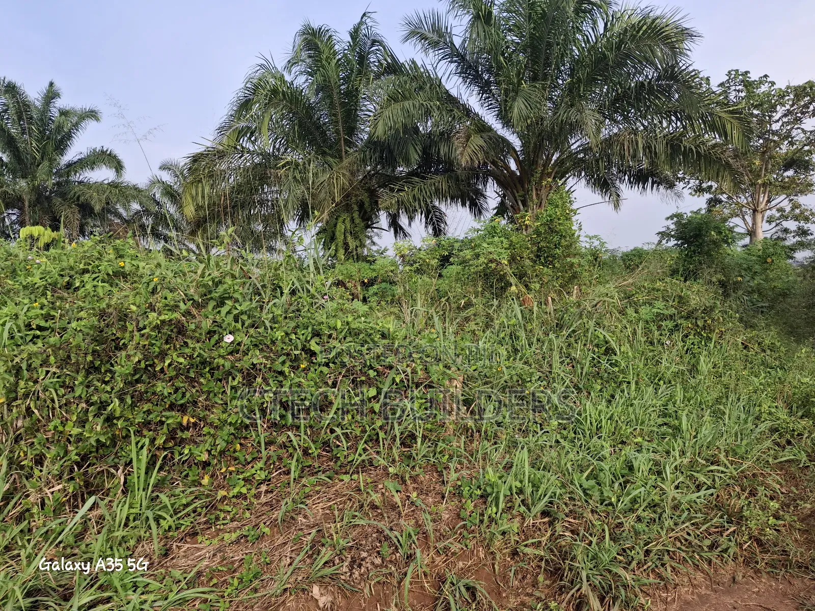 6 Plots of Land for Distress Sale in Benin City