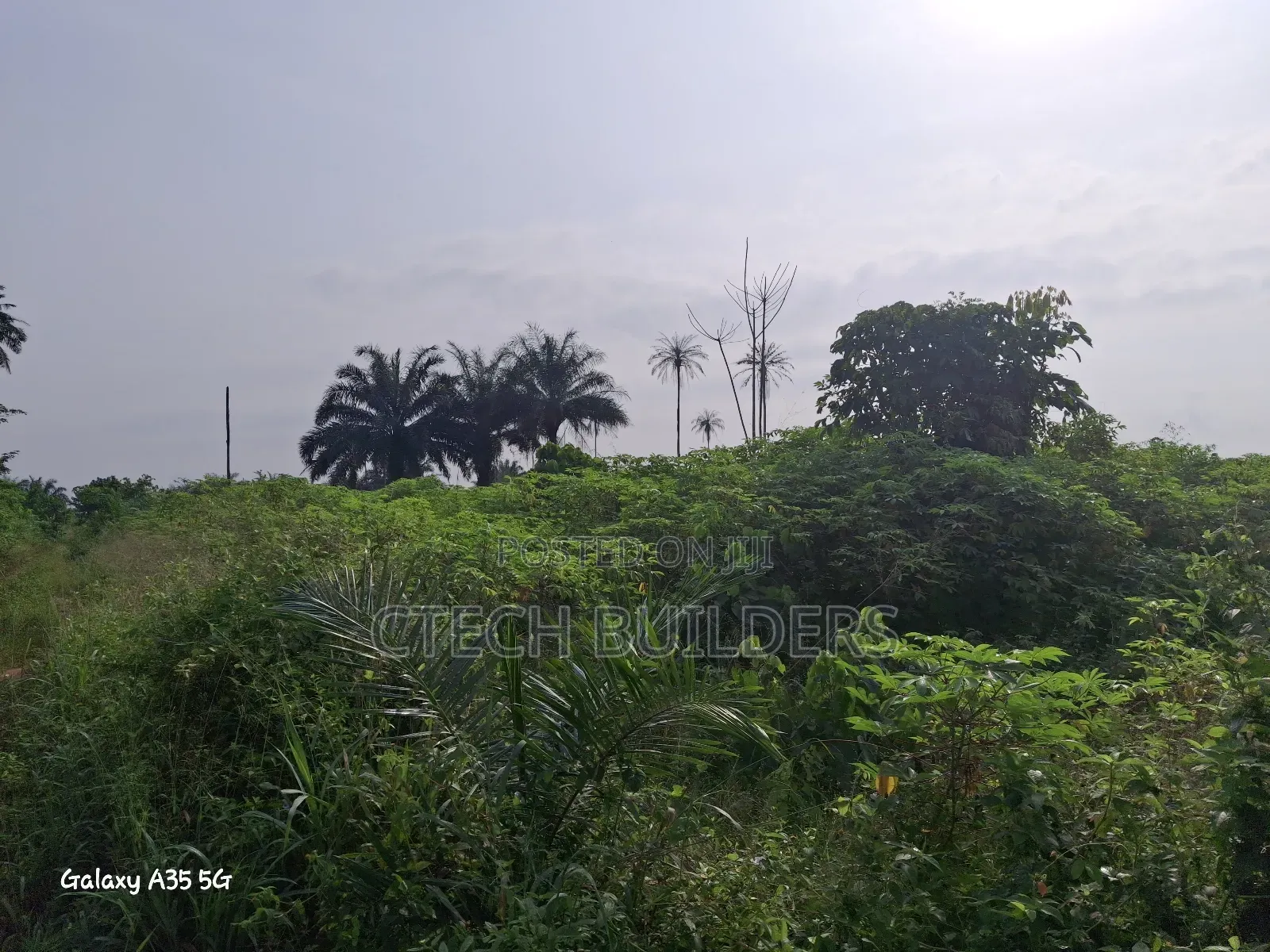 6 Plots of Land for Distress Sale in Benin City