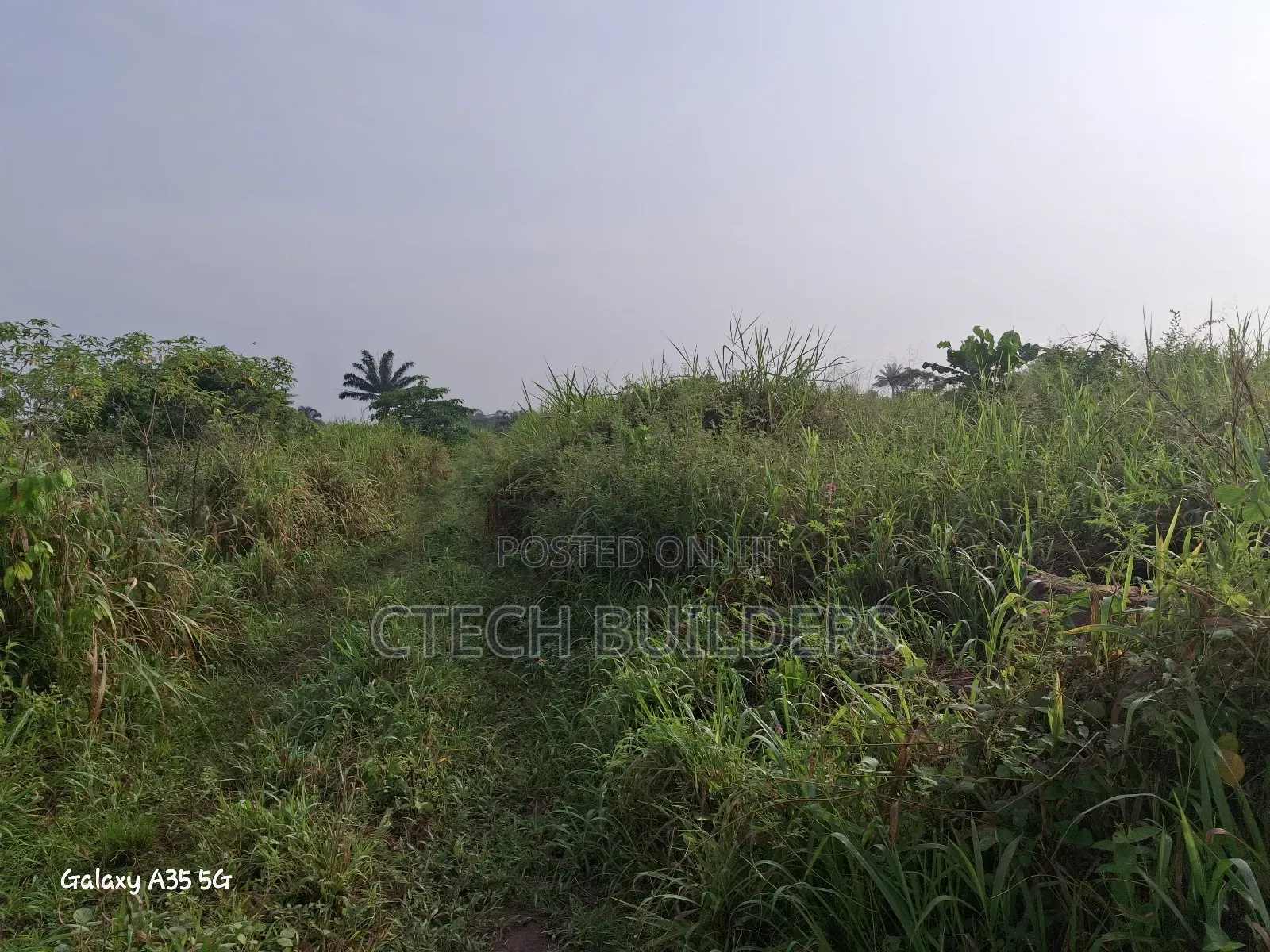 Distress 100ft by 100ft in Benin City