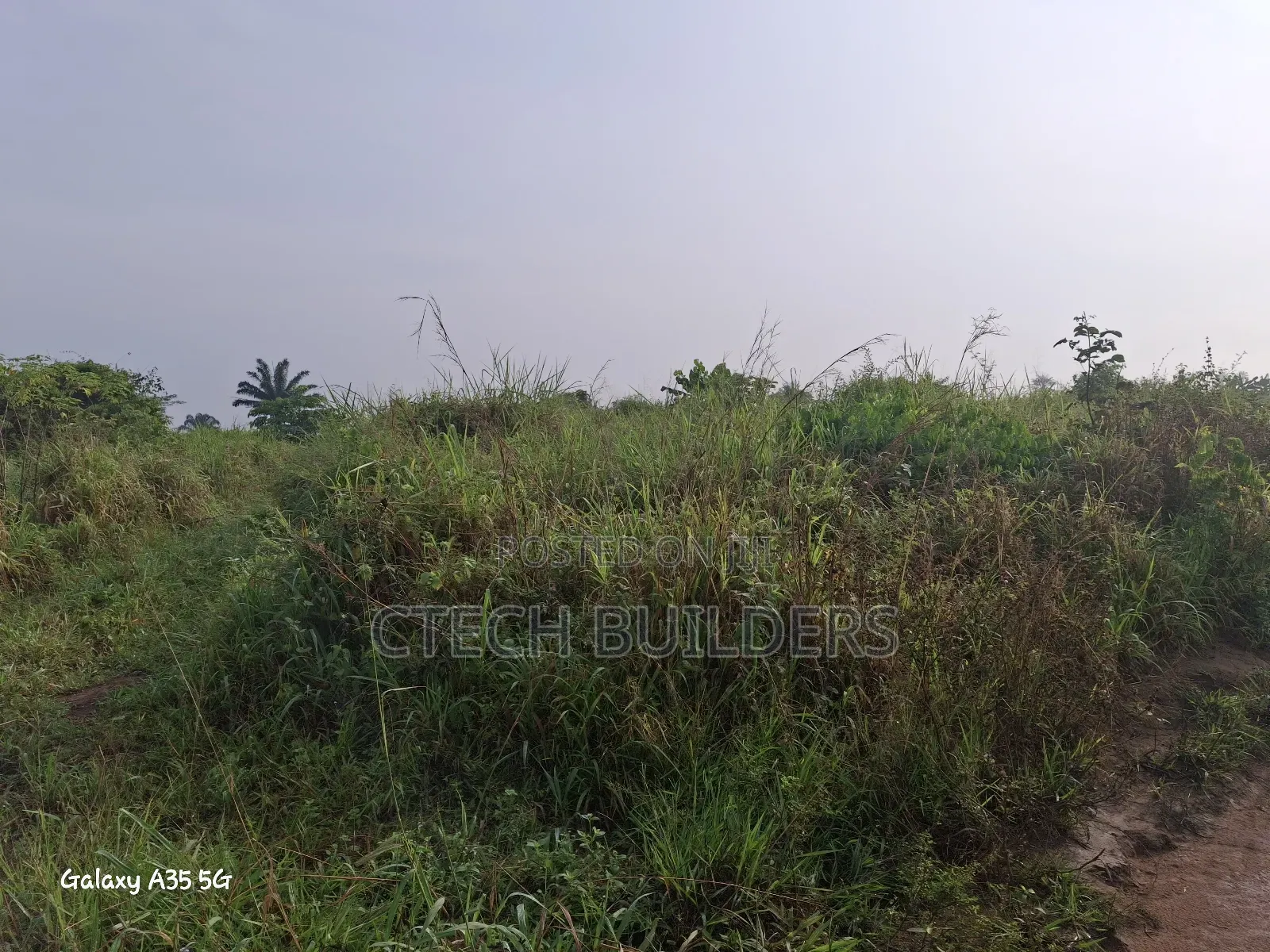 Distress 100ft by 100ft in Benin City