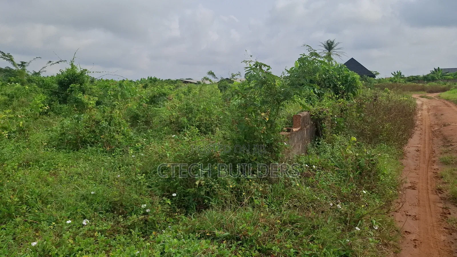 Distress 50ft by 100ft in Benin City