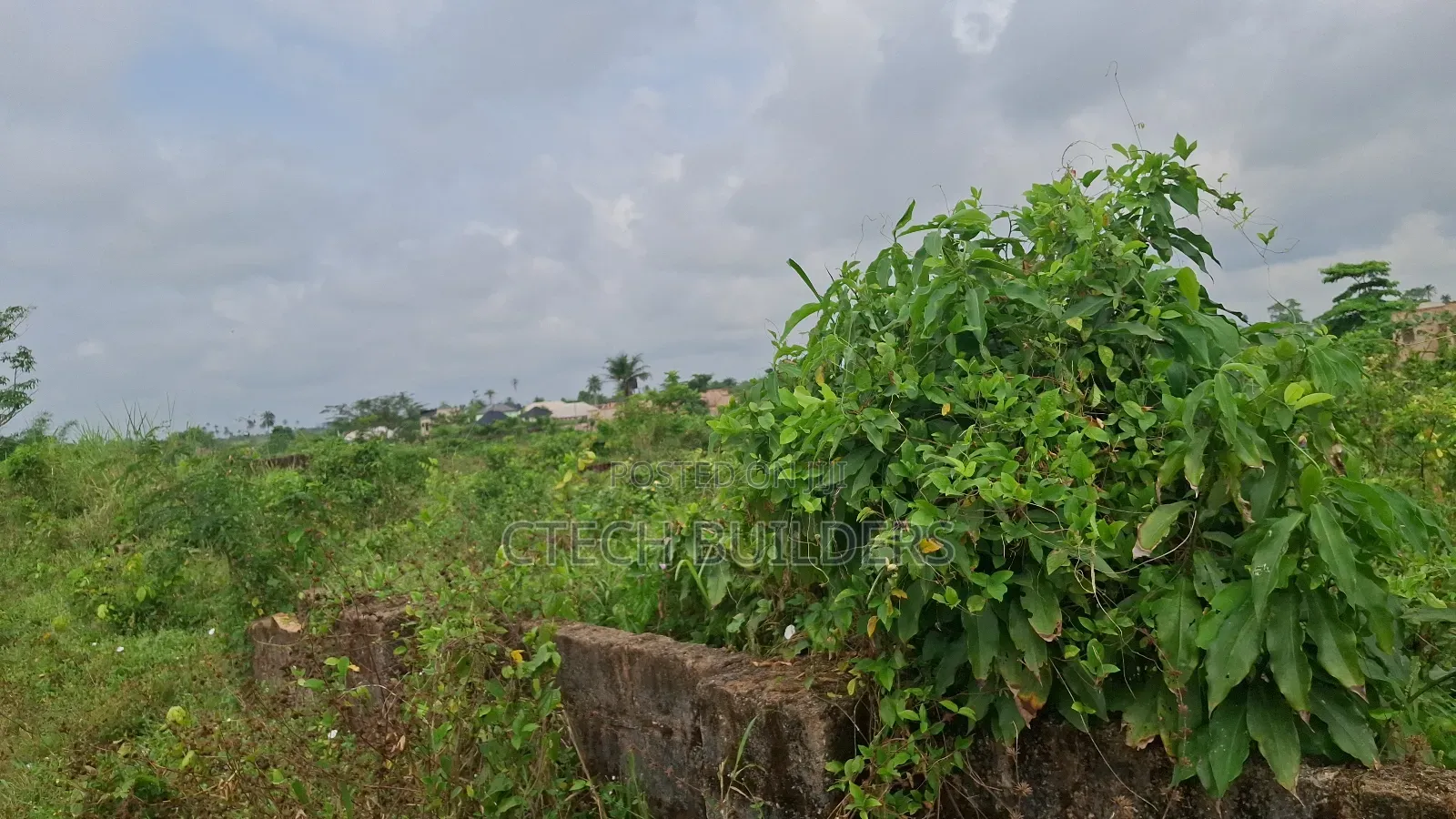 100ft by 100ft With Cofo in Benin City
