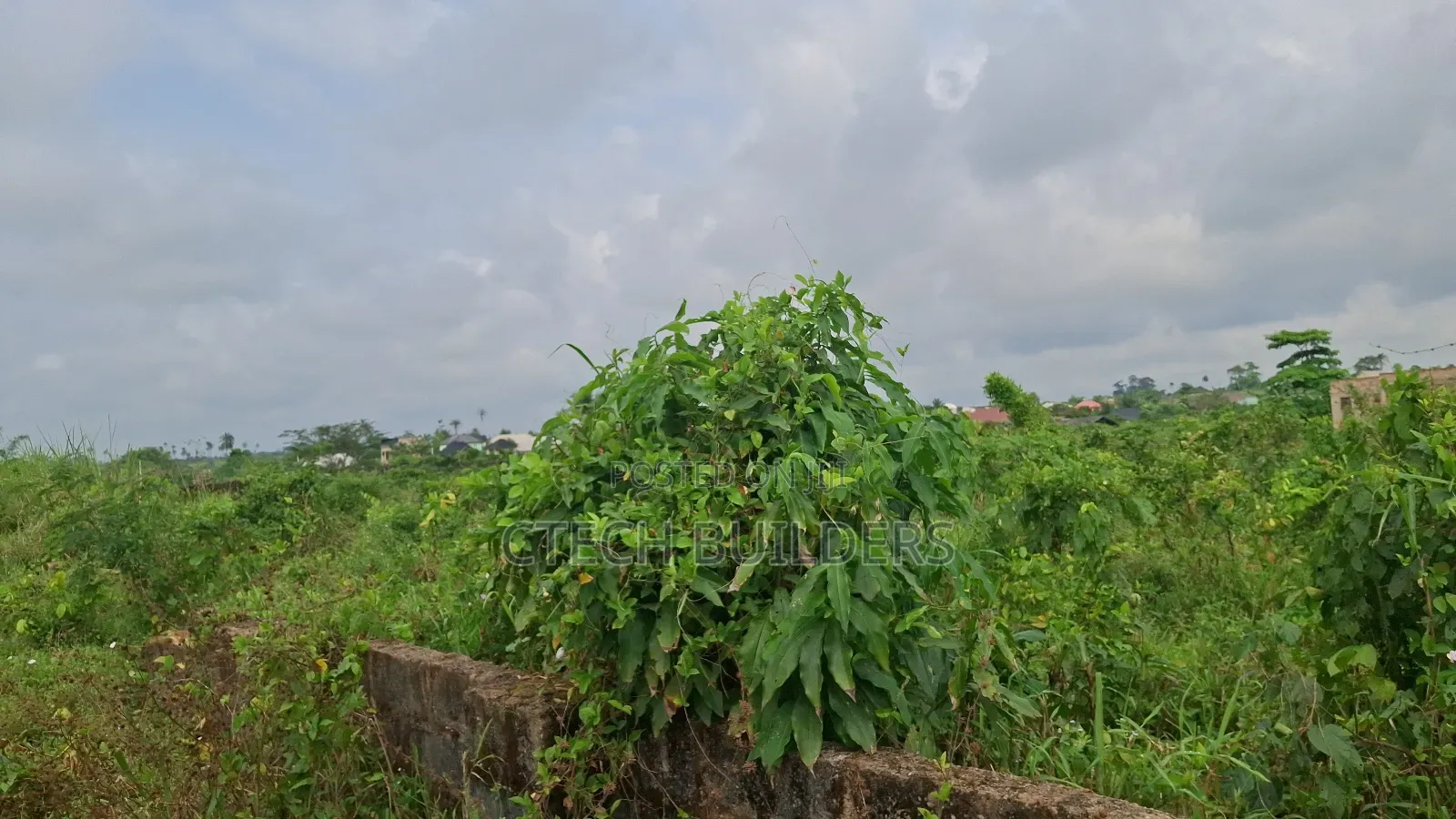 100ft by 100ft With Cofo in Benin City
