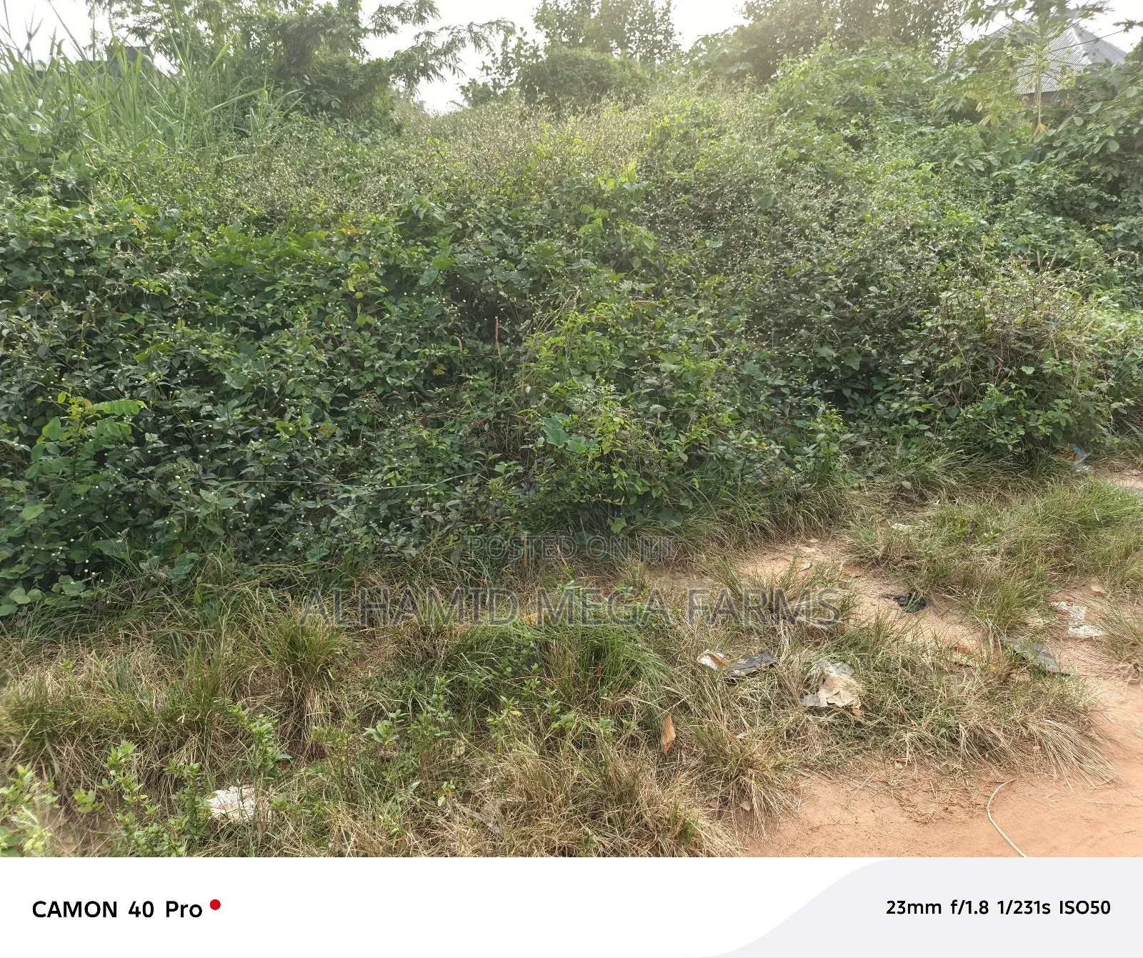 An Acre of Farmland for Sale in Ilaro