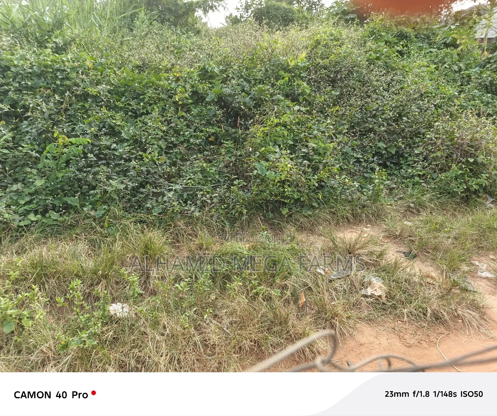An Acre of Farmland for Sale in Ilaro
