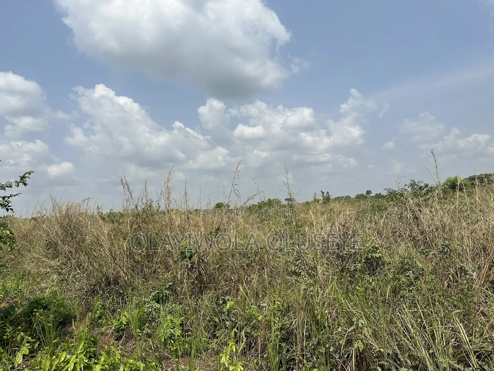 10 Acres Land Available for Sale in Odeda