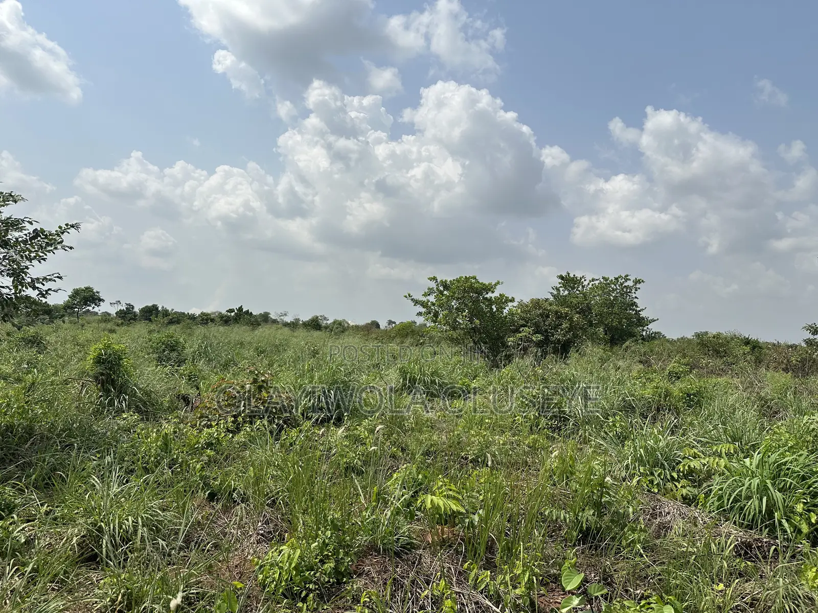 10 Acres Land Available for Sale in Odeda