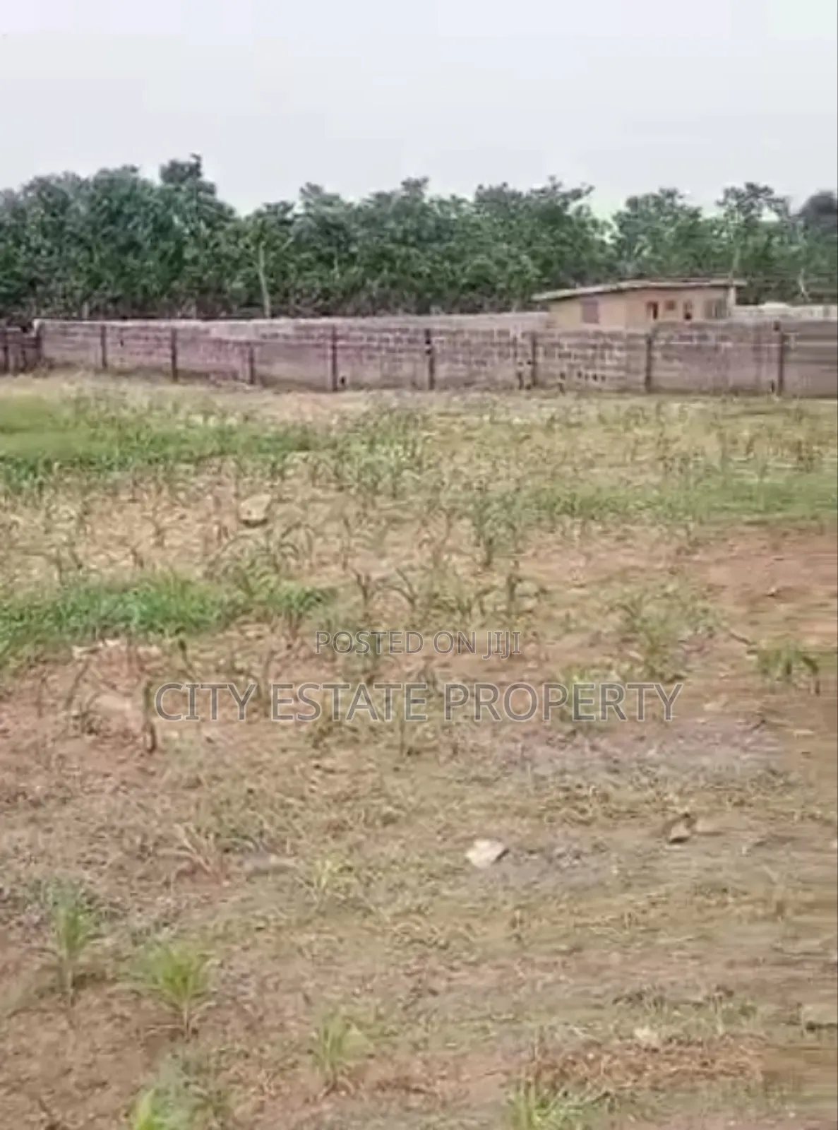 Land for Sale in Abuja in Life Camp