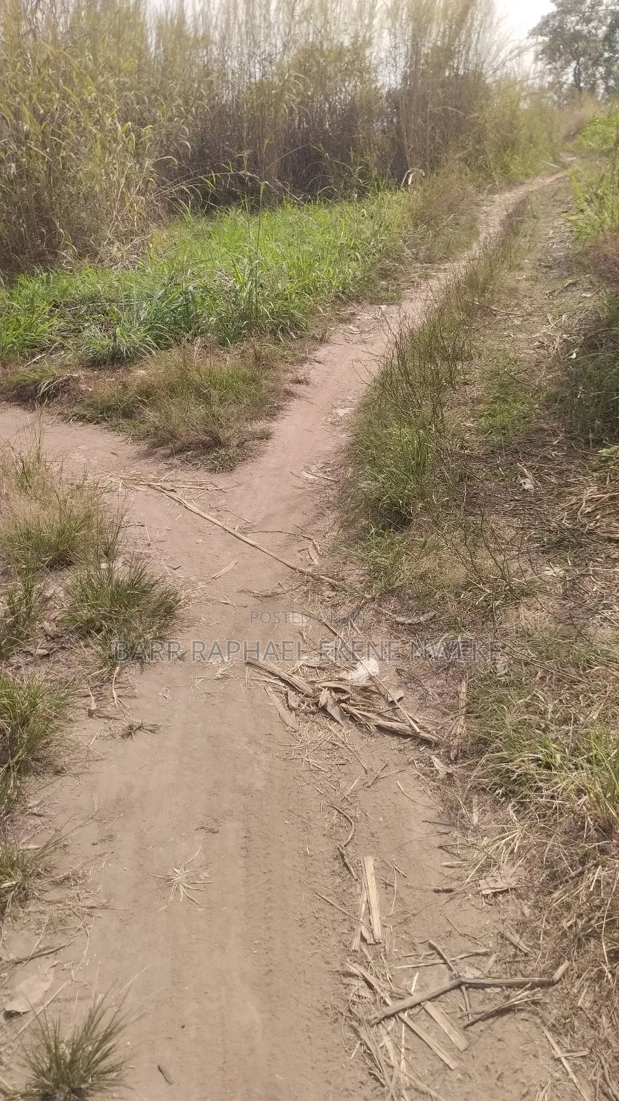 50 Plots of Sale in Aghamelu