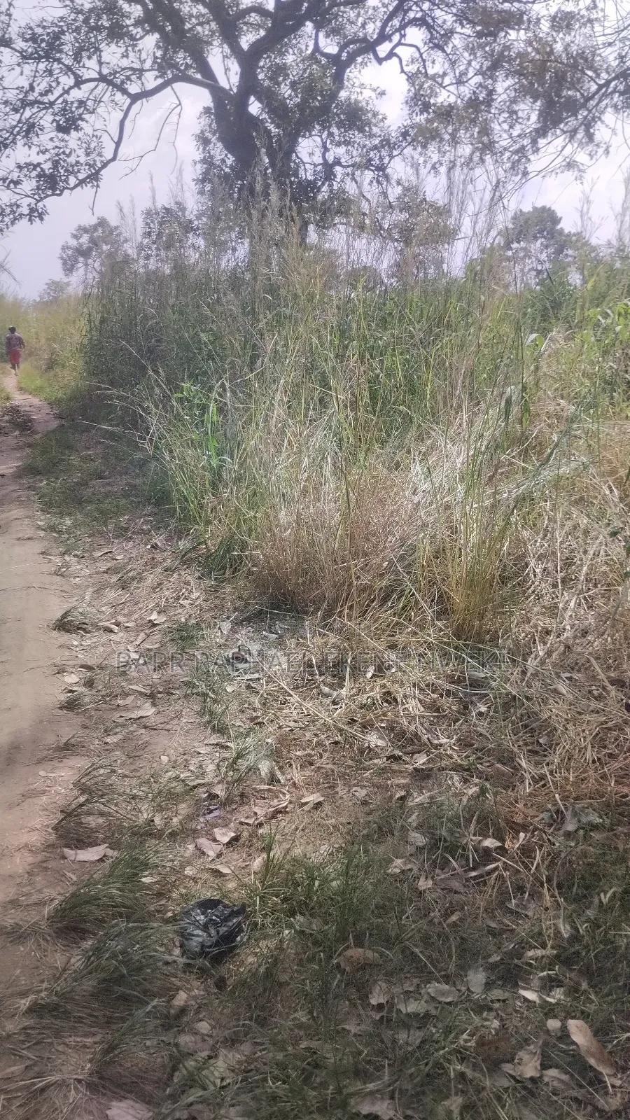 30 Plots of Land for Sale in Aghamelu