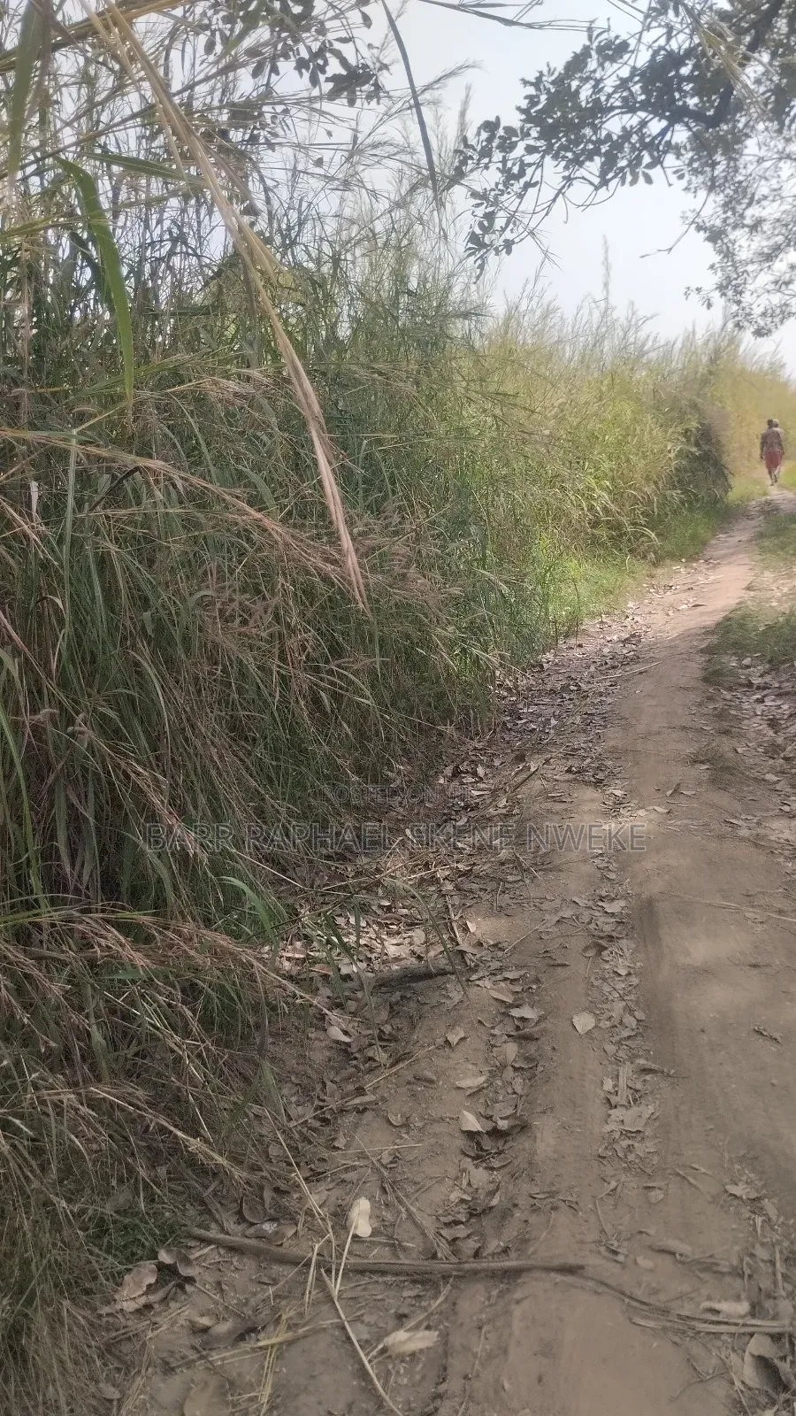 30 Plots of Land for Sale in Aghamelu