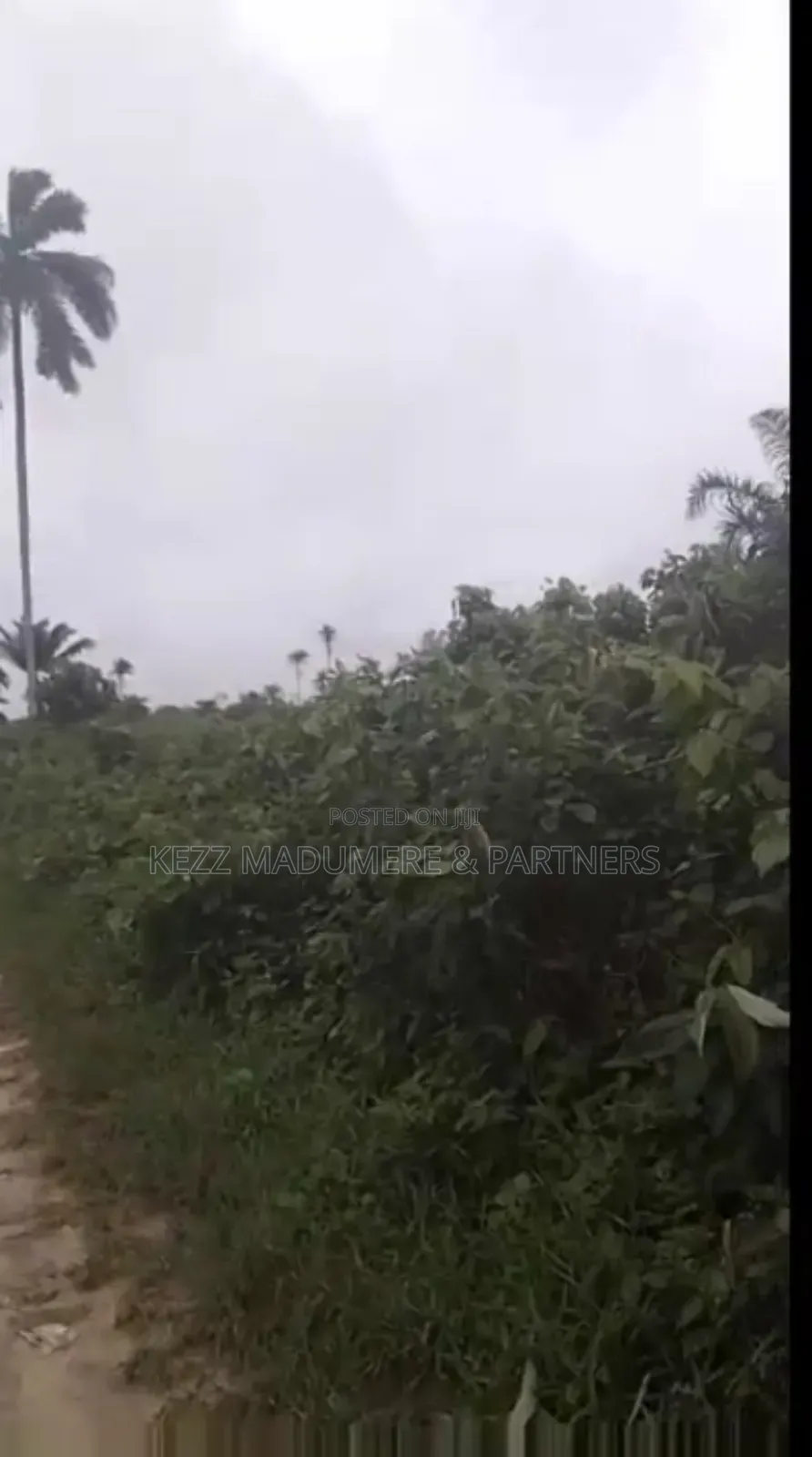 For Sale: 3 Plots at Imogu,Omagwa, Ph in Port-Harcourt