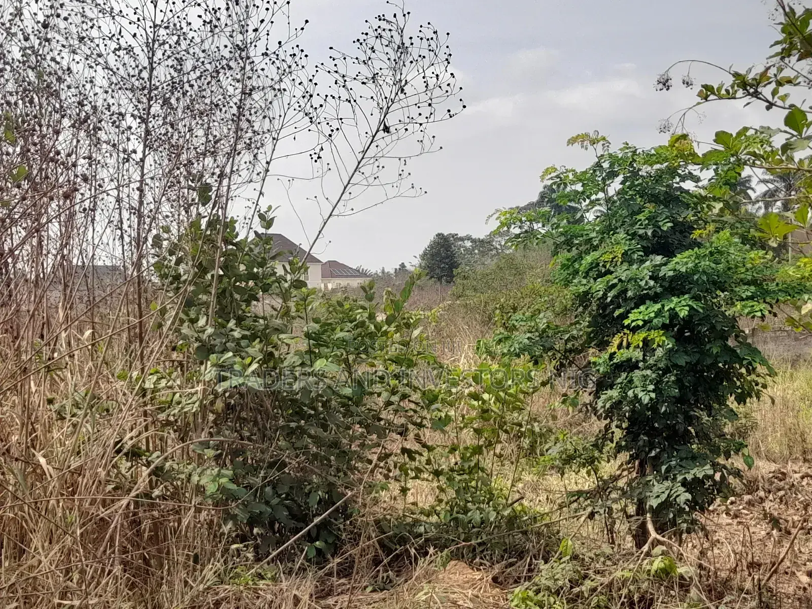 Build Home or Hostel in Oye Ekiti, a Growing University Town. in Ado Ekiti