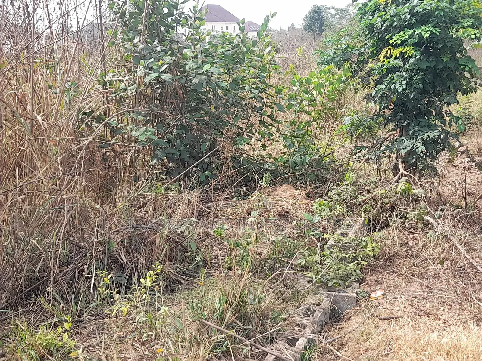 Build Home or Hostel in Oye Ekiti, a Growing University Town. in Ado Ekiti