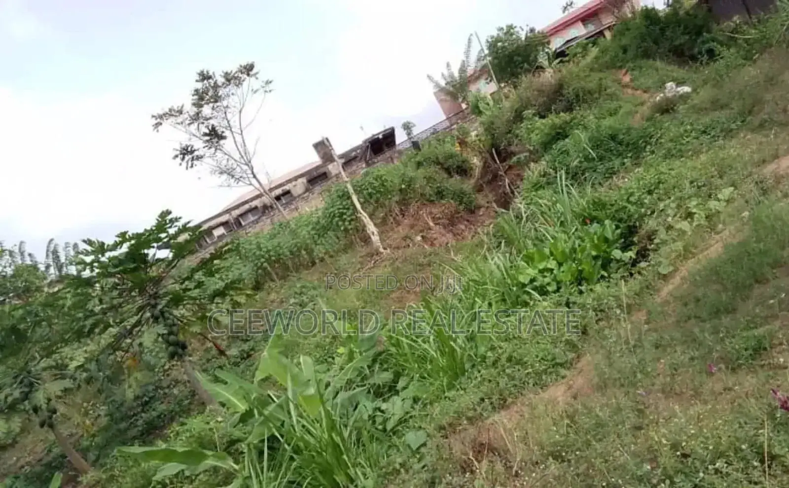 Quick 1948 SQM of Empty Land at Idishin Jericho Gra in Jericho