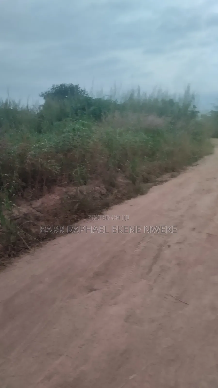 2000 Plots of Land for Sale in Aghamelu