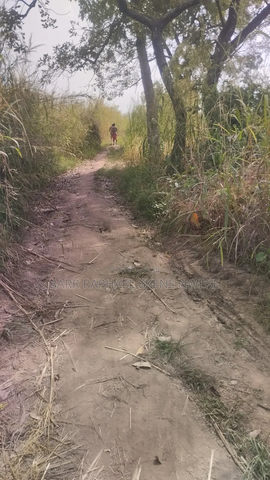 76 Plots of Land for Sale in Aghamelu