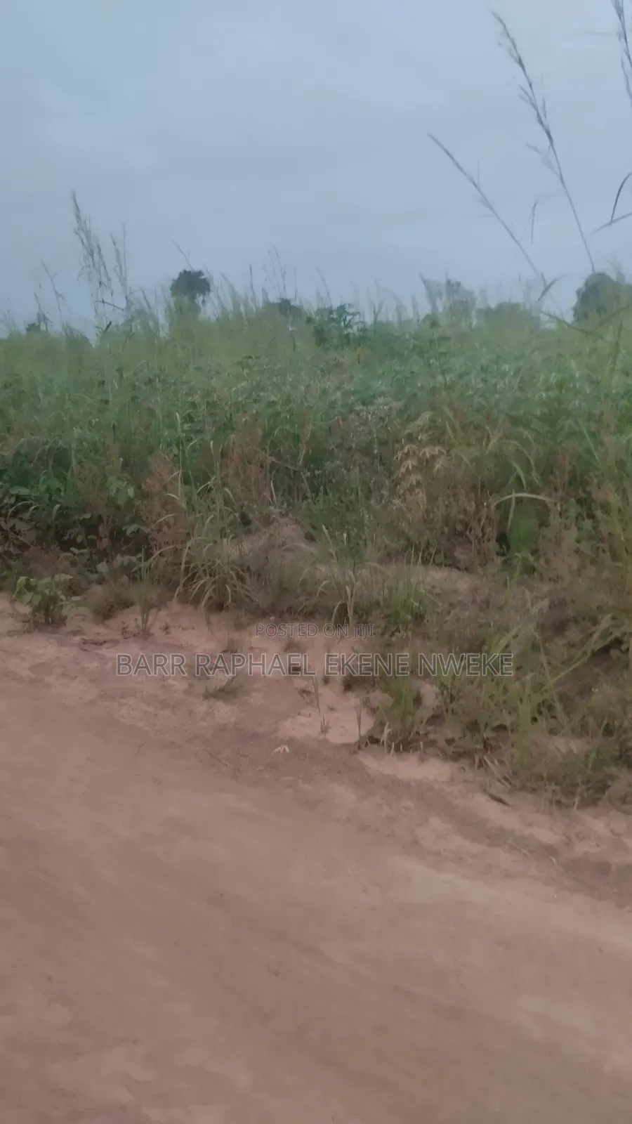 76 Plots of Land for Sale in Aghamelu