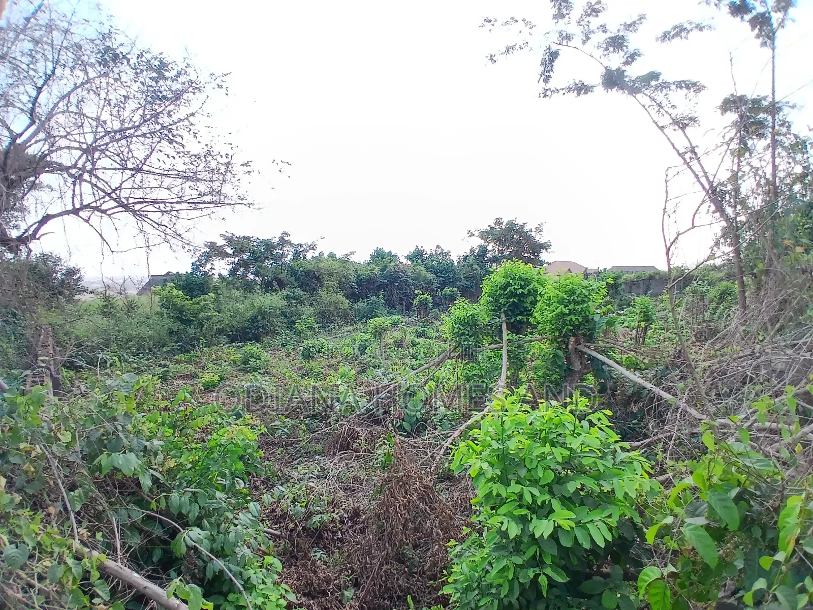 470sqm Land With Dwarf Fence for Sale at Olorunda Aba, Ibadan. in Ibadan