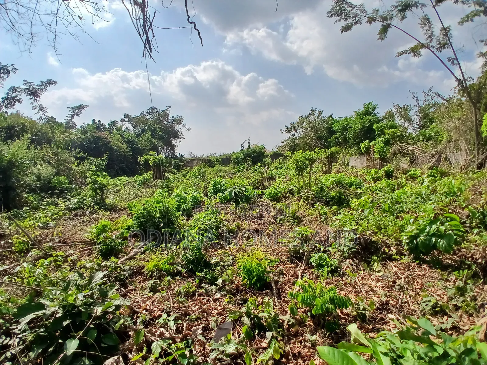 470sqm Land With Dwarf Fence for Sale at Olorunda Aba, Ibadan. in Ibadan