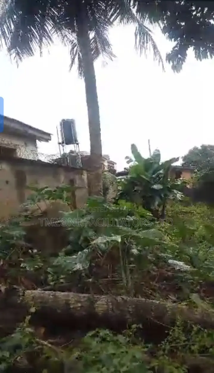 Full Plot of Land With 3bdrm Flat at Decking Level in Igando / Ikotun/Igando