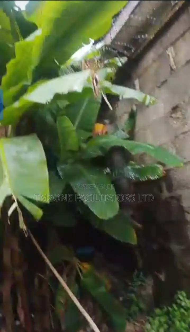 Full Plot of Land With 3bdrm Flat at Decking Level in Igando / Ikotun/Igando