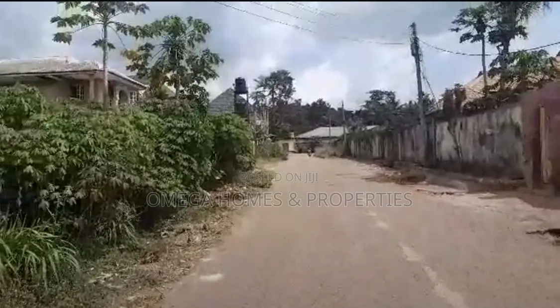 Standard 2 Plots of Land at Ehimiri Housing Estate Umuahia in Umuahia