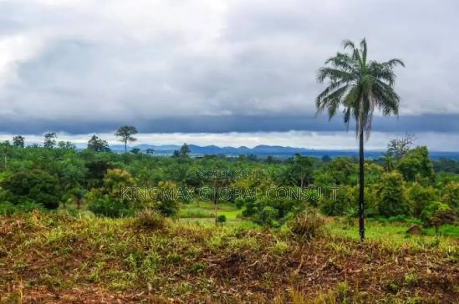First Plot With Cofo : Land Size: 2,150.25m2. Residential Purpose. in Life Camp