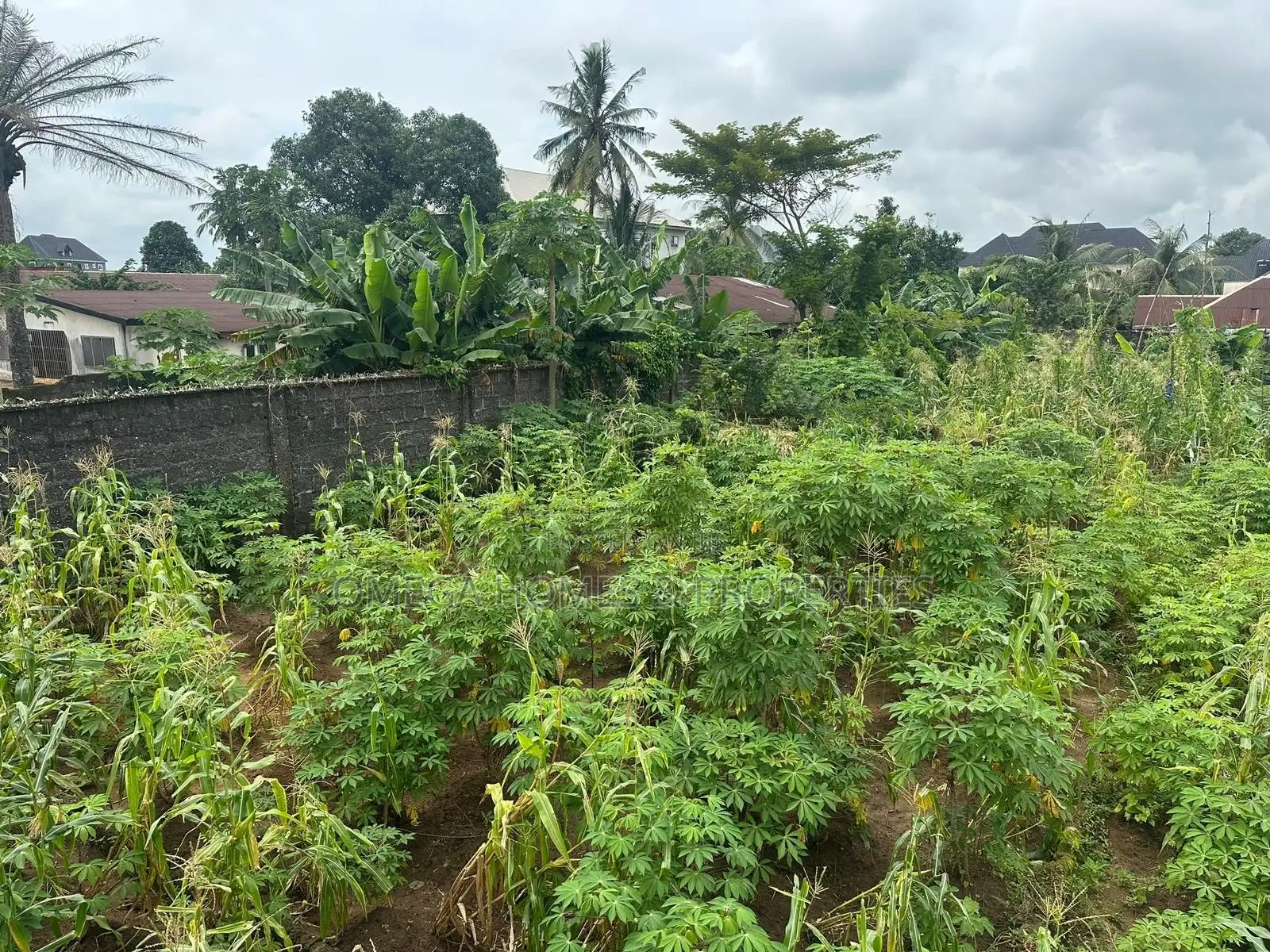 3 And Half Plots Of Land , Fenced Gated At Ogborhill Aba Abia State in Aba North