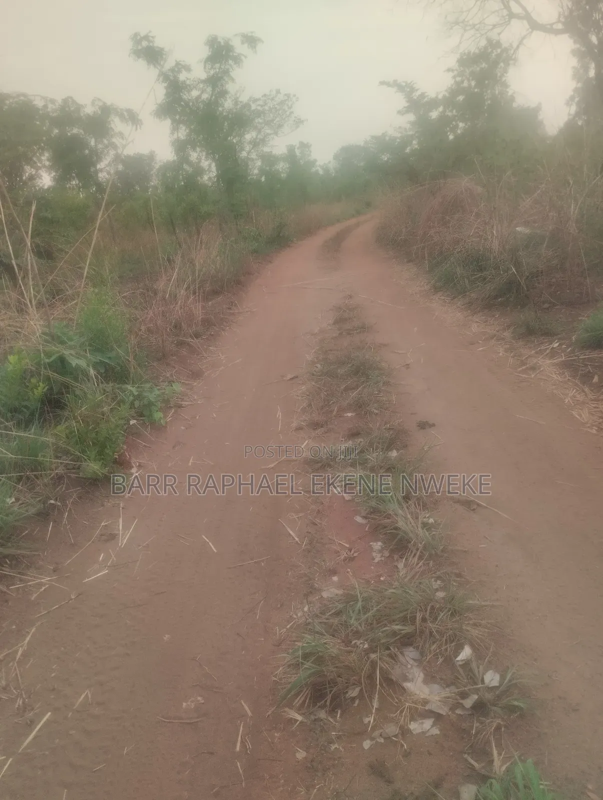 4 Plots of Land for Sale in Aghamelu