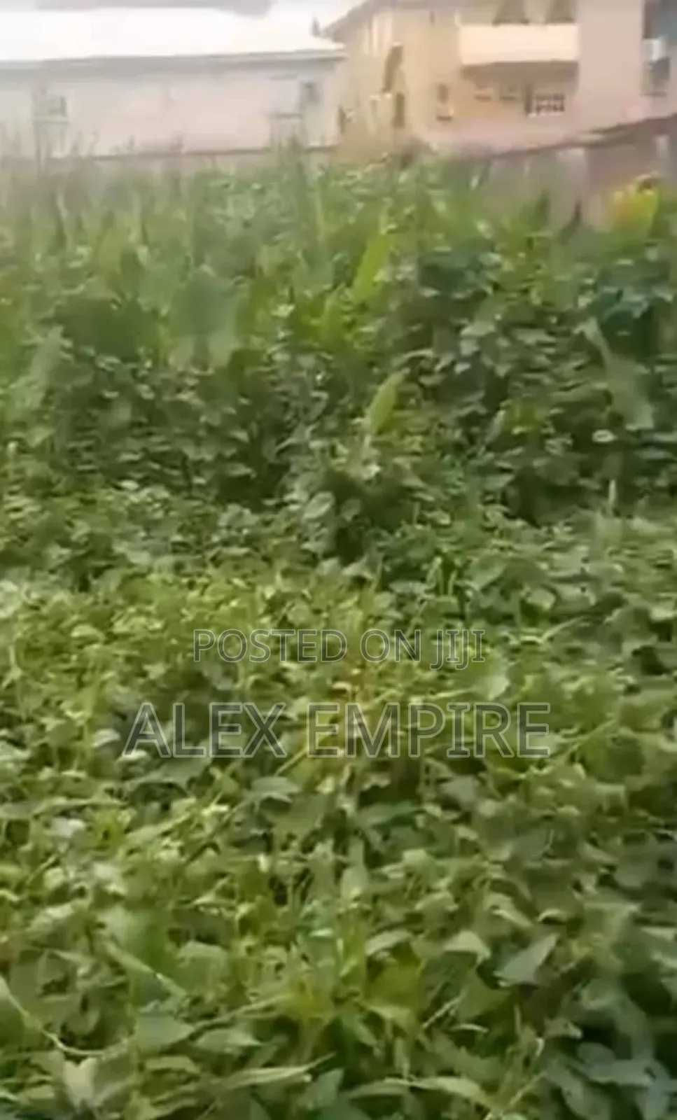 Half Plot of Land for Sale in Ago in Ago Palace