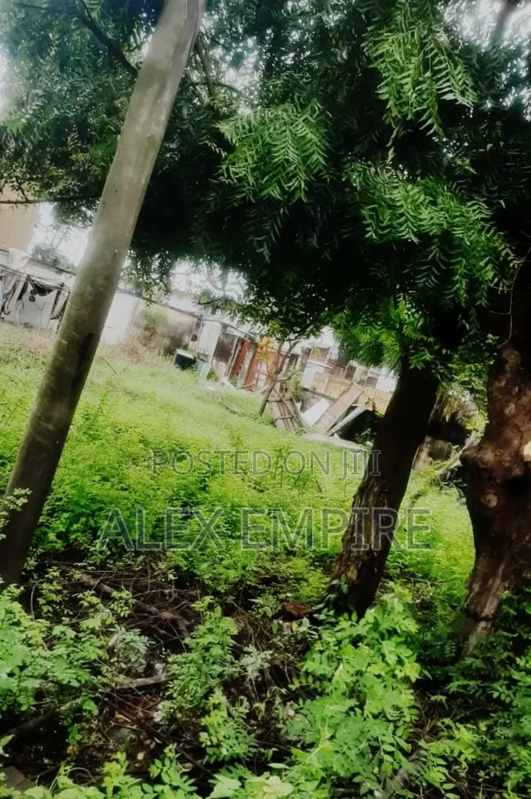 800sqm Plot of Land for Sale in Unique Estate, Amuwo Odofin in Amuwo-Odofin