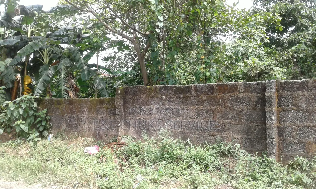 Two Plots of Land at Atali Farm Estate, Off Tank Junction in Obio-Akpor