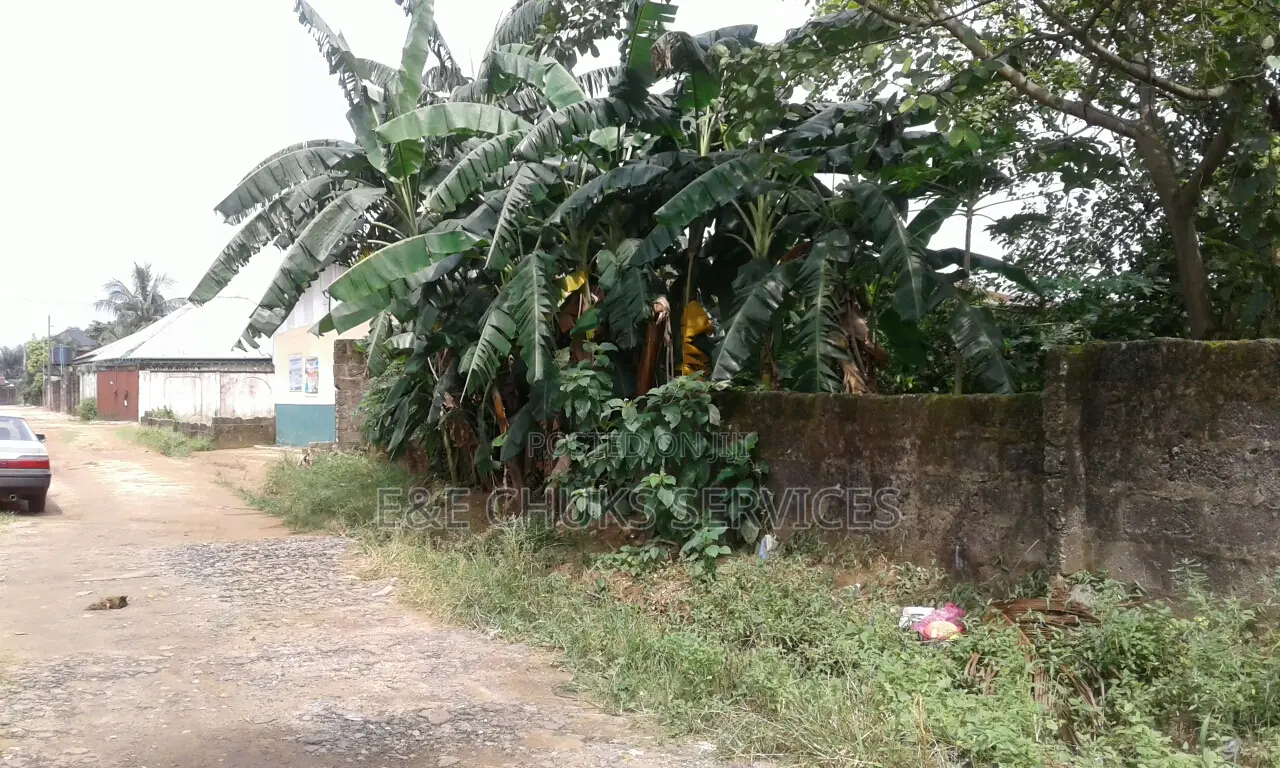 Two Plots of Land at Atali Farm Estate, Off Tank Junction in Obio-Akpor