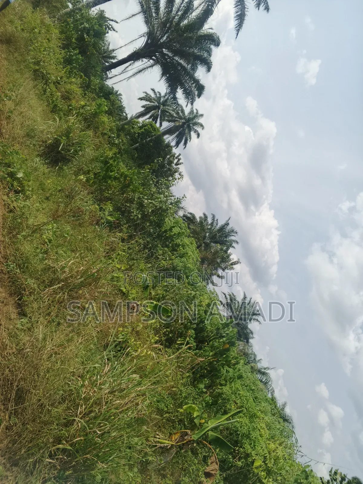 A Plot of Land and Two Plot of Land for Sale in Omagwa