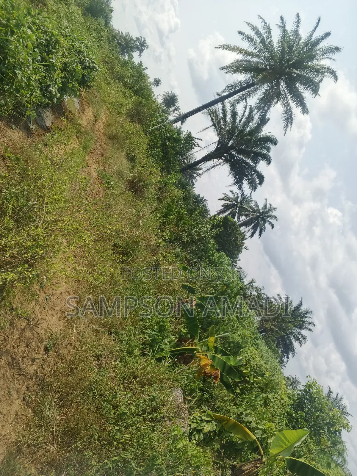 A Plot of Land and Two Plot of Land for Sale in Omagwa
