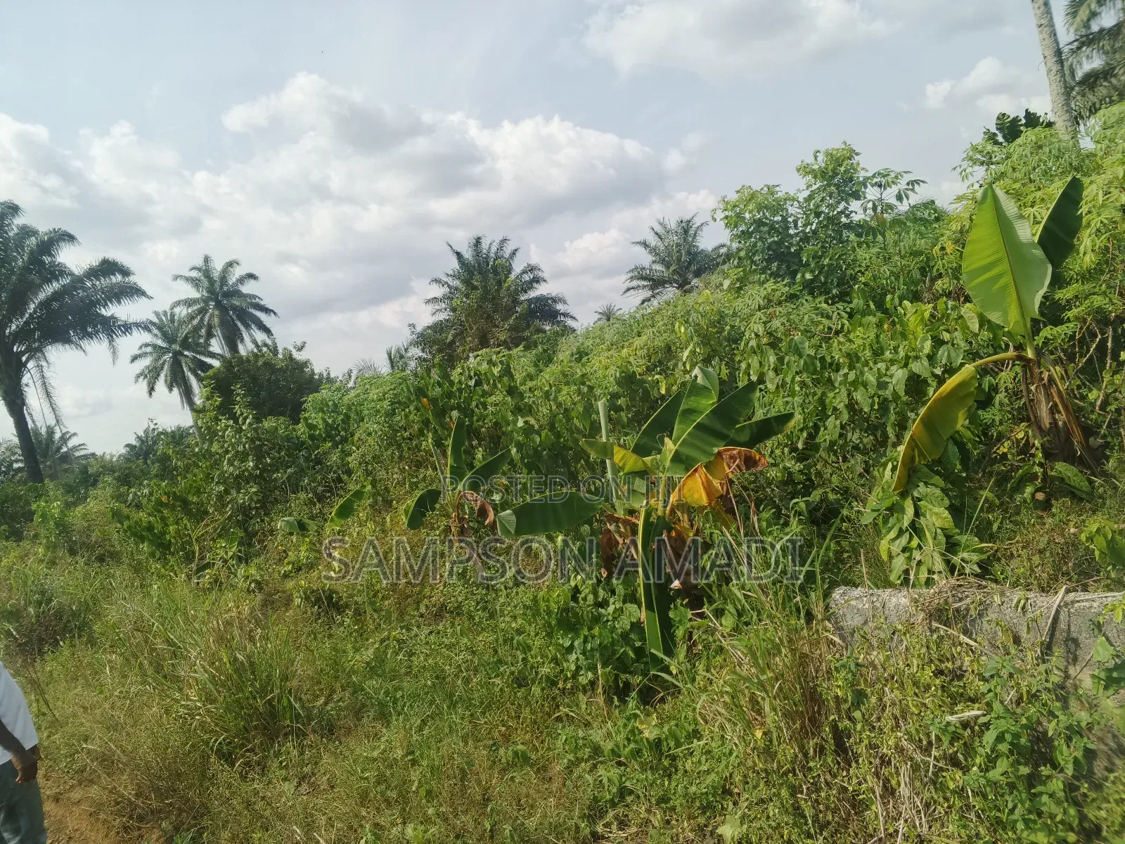 A Plot of Land and Two Plot of Land for Sale in Omagwa