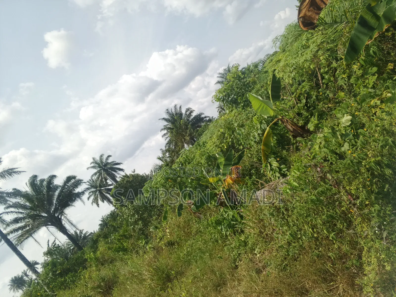 A Plot of Land and Two Plot of Land for Sale in Omagwa