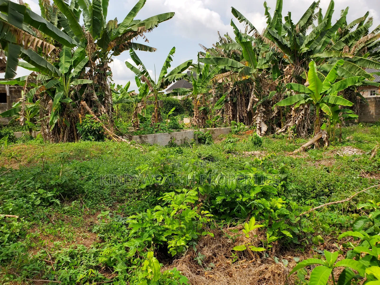 Land for Sale in Benin City